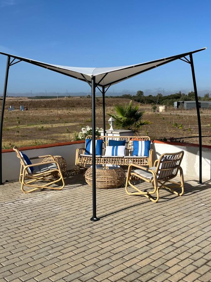 Quinta Da Amoreira Ferreira Do Alentejo Extérieur photo